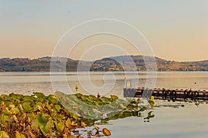 View of the lake of viverone in italy with the dock for mooring photo