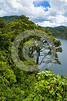 View of Lake Waikaremoana, Te Urewera National Park, New Zealand