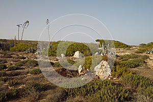 View of Lampedusa landscape