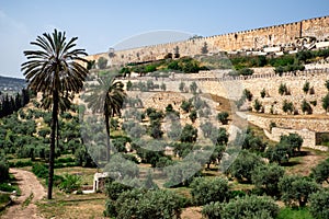 View of the landmarks of Jerusalem Old City, Israel