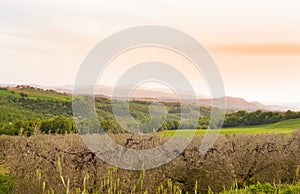 View of landscape across of Umbria and Tuscany regions