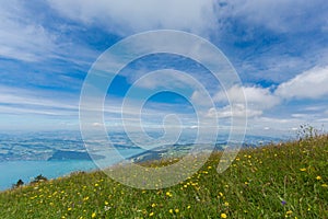 View on landscape with blooming flowers and lake Zug from Gnipen