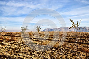 View of the landscape in the Cappadocia valley with mountains in the distance on the horizon and blue sky