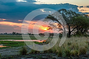 View of the landscape at the Chobe River in Botswana
