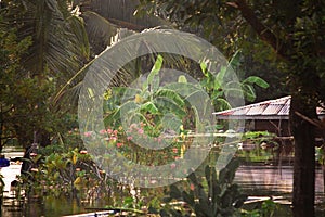 View landscape cityscape countryside of Bang Bua Thong city while water flood vintage wood home and inundation retro wooden house