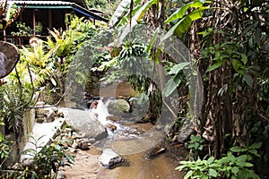 View landscape and creek of Mae Kampong Waterfall on Doi Mon Lan in Baan Mae Kampong peaceful Village valley hill for thai people