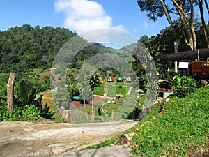 View landscape forest jungle and cityscape village countryside rural at Mon Jam mountain hill for thai people travelers journey