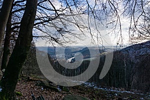 View landscape, Forest in winter on a sunny day