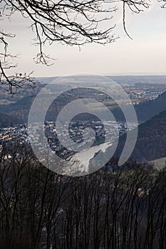 View landscape, Forest in winter on a sunny day