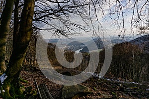 View landscape, Forest in winter on a sunny day