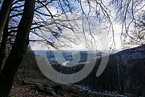 View Landscape, forest in winter on a sunny day