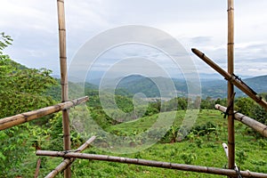 View of the landscape in front of the house that is being built, showing the bamboo frame. View of the front of the house on the