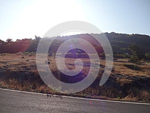 View of landscape grass and landscape trees and mountains