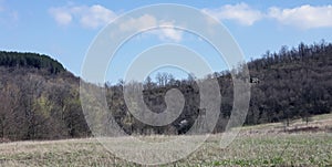 View of the landscape with a hunting tower on the edge of the forest and field