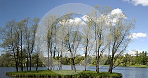 View of Landscape with lake and trees