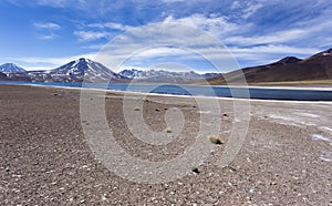View of landscape at Miscanti lagoon park