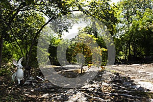 View landscape mountain hill route walkway in forest jungle for thai people travelers trail hiking go to holy water and mystery