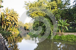 View landscape and movement water of canal in farming garden and coconuts plantation