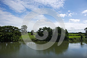 View landscape natural pond and paddy rice field park outdoor