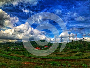 View landscape rice fields