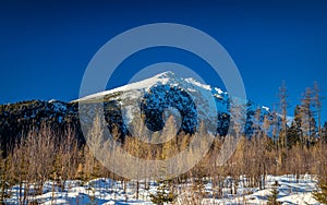 View of the landscape with snowy mountains