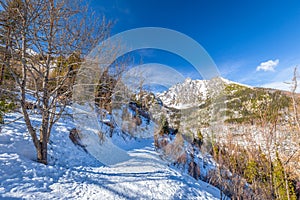 View of the landscape with snowy mountains