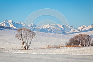 View of the landscape with snowy mountains at sunny day