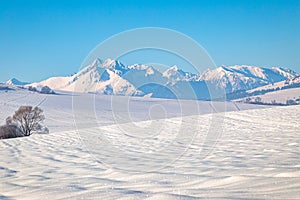 View of the landscape with snowy mountains at sunny day