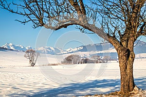 View of the landscape with snowy mountains at sunny day