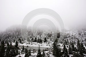 View Landscape snView Landscape snow snowing covered on alpine tree at top of mountain in Kaunergrat nature park