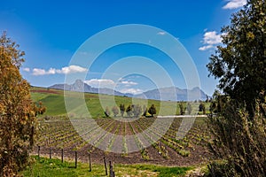 View of the landscape between Strasatto and Ginestra, Sicily