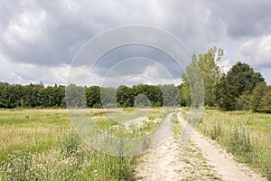 View on the landscape of the Veluwezoom, a beautiful national park in Gelderland.