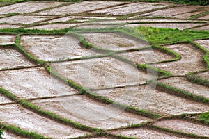 View landscape - Water in the rice field for preparing rice in Thailand