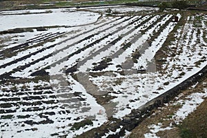 View of landscape Yufuin village in the winter after snow fall