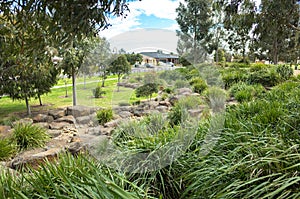 View of a landscaped suburban park with footpath, rocks, Eucalyptus gum trees, and some Australian native plants in a residential