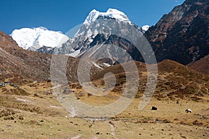 View of Langtang Valley, Langtang National Park, Rasuwa Dsitrict, Nepal