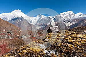 View of Langtang Valley with Mt. Langtang Lirung in the Background, Langtang, Bagmati, Nepal photo