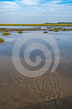 The Langwarder Groden / Germany at the onset of the flood photo