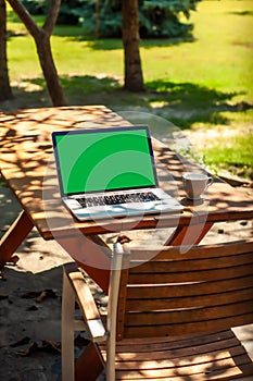 View on a laptop pc with a green screen and a coffee mug on a table in the garden