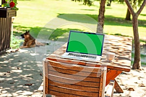 View on a laptop pc with a green screen and a coffee mug on a table in the garden