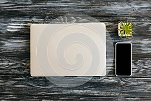 View of laptop, smartphone with blank screen and succulent on dark wooden surface