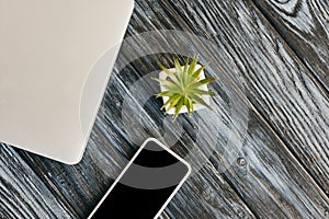 View of laptop, smartphone and house plant on dark wooden surface