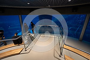 View of large aquarium inside Montreal Biodome with fish.