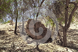 View of a large boulder that lies among the trees on the mountainside at Ein-Gedi Israel National Park.