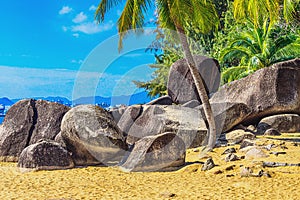 View of large stones, boulders and palm trees on the shore of the South China Sea. Sanya, China.