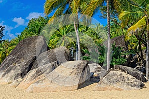 View of large stones, boulders and palm trees on the shore of the South China Sea. Sanya, China.