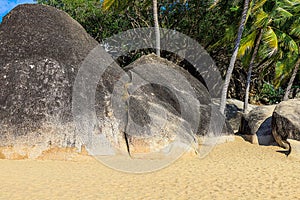 View of large stones, boulders and palm trees on the shore of the South China Sea. Sanya, China.