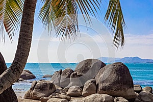 View of large stones, boulders and palm trees on the shore of the South China Sea. Sanya, China.