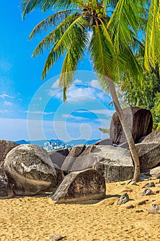 View of large stones, boulders and palm trees on the shore of the South China Sea. Sanya, China.