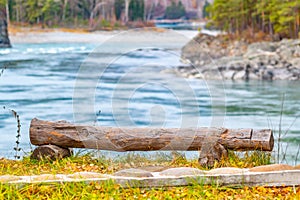 View of a large untreated tree log in the form of a bench for enjoying the scenery